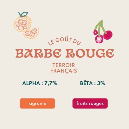 Houblon Hopen Barbe Rouge - Pellets T90 sachet de 5 kg